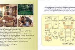 ybrochure-eliza-2